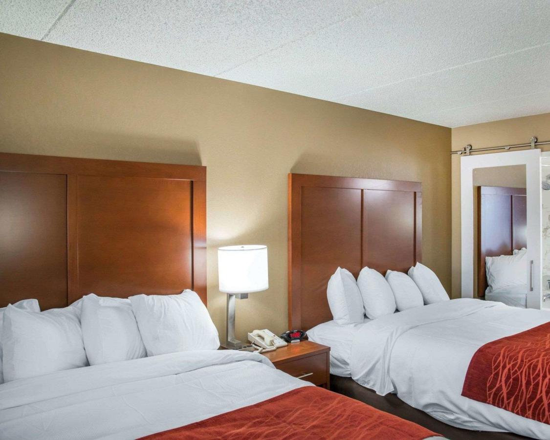 Comfort Inn Eden Prairie - Minneapolis - thumb 18
