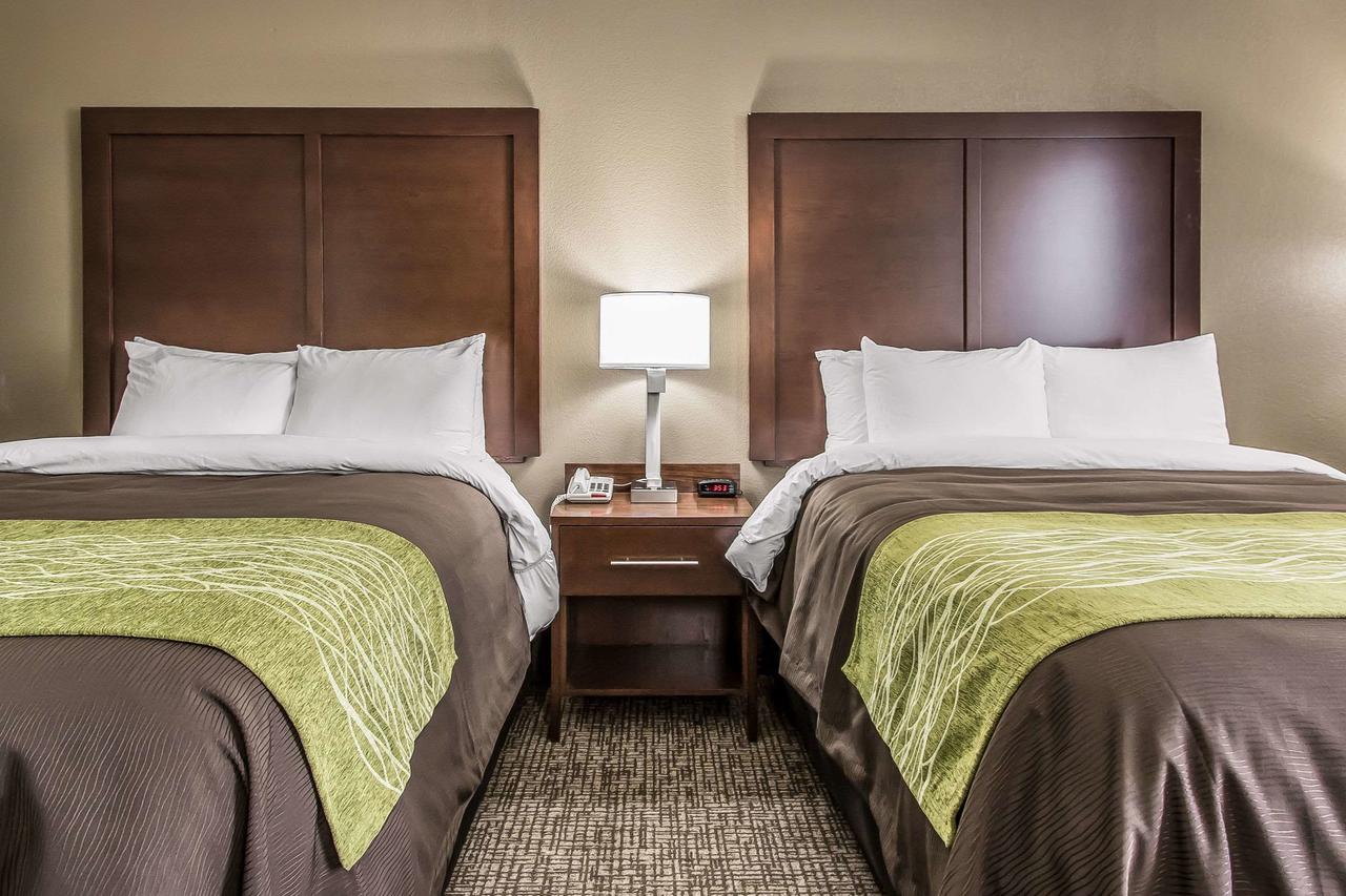 Comfort Inn Jackson - thumb 3