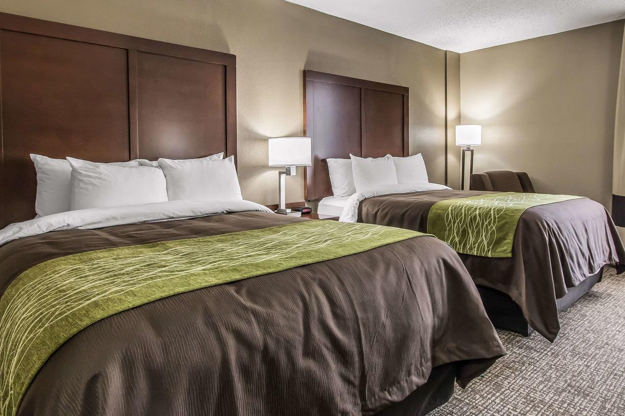 Comfort Inn Jackson - thumb 2