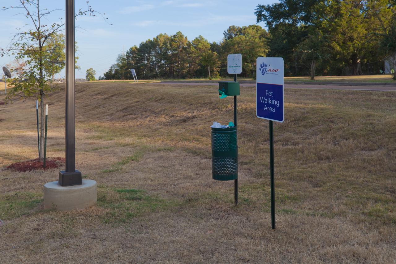 Candlewood Suites Pearl - thumb 23