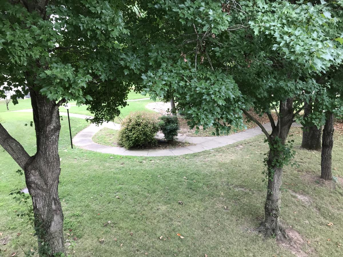 Foothills - thumb 12