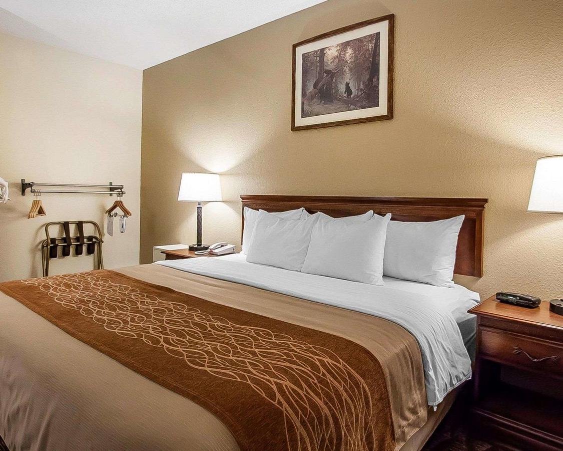 Comfort Inn & Suites Branson Meadows - thumb 36