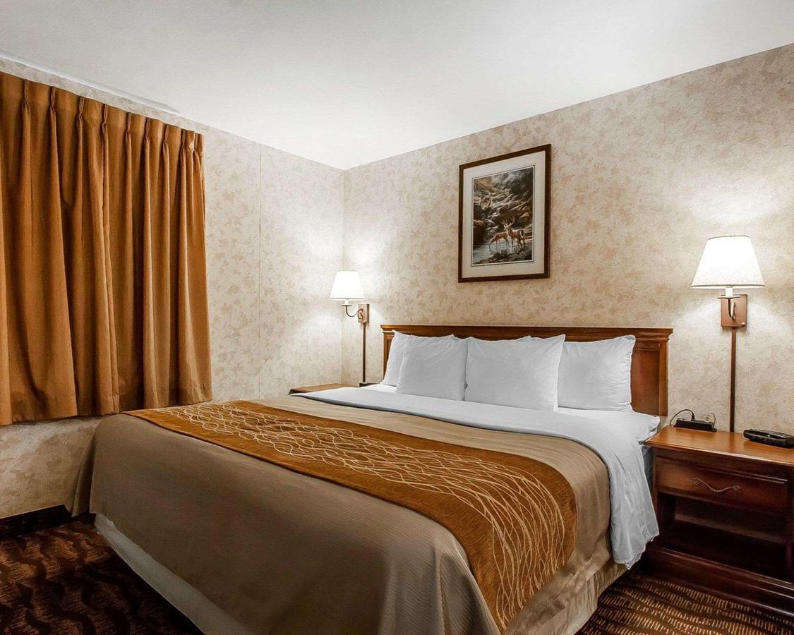 Comfort Inn & Suites Branson Meadows - thumb 9