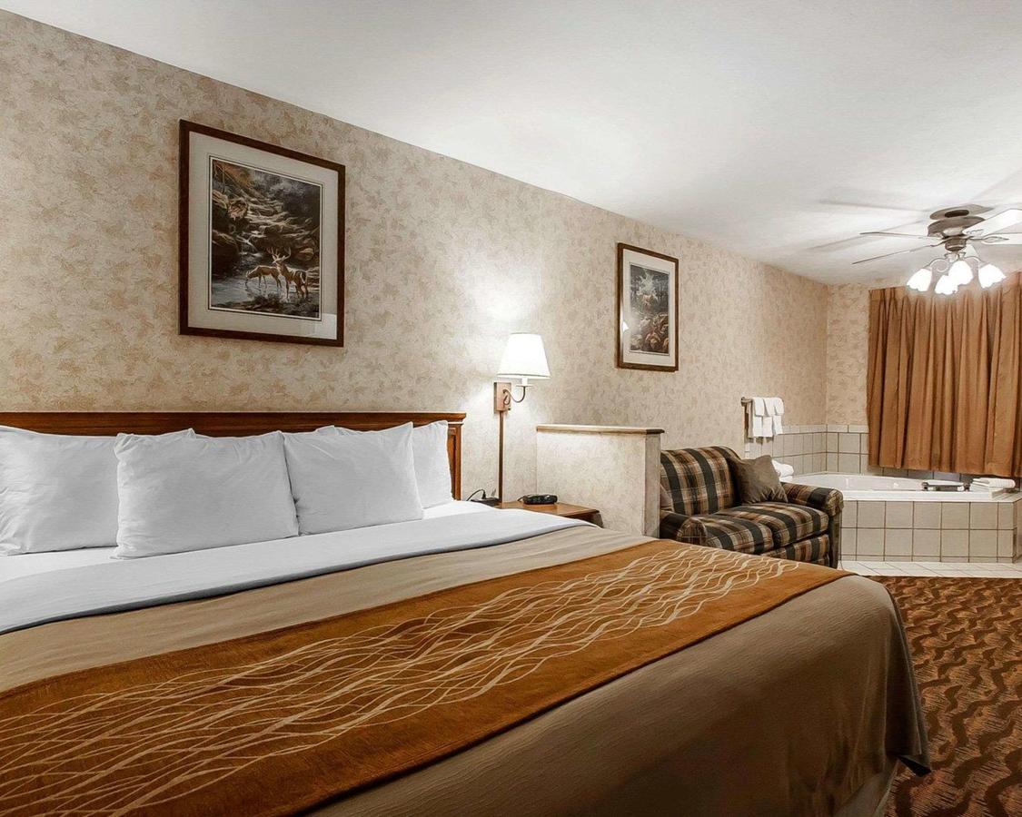Comfort Inn & Suites Branson Meadows - thumb 41