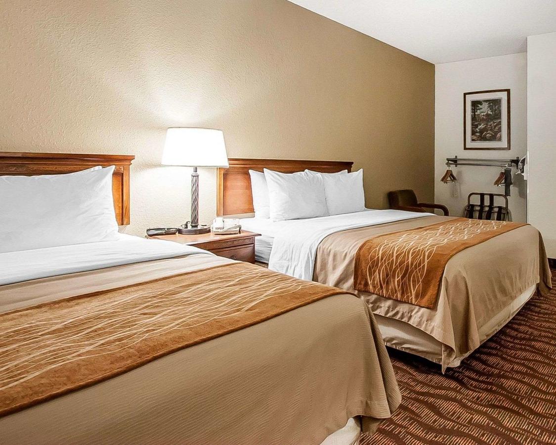 Comfort Inn & Suites Branson Meadows - thumb 38