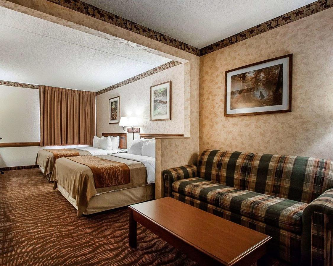 Comfort Inn & Suites Branson Meadows - thumb 13