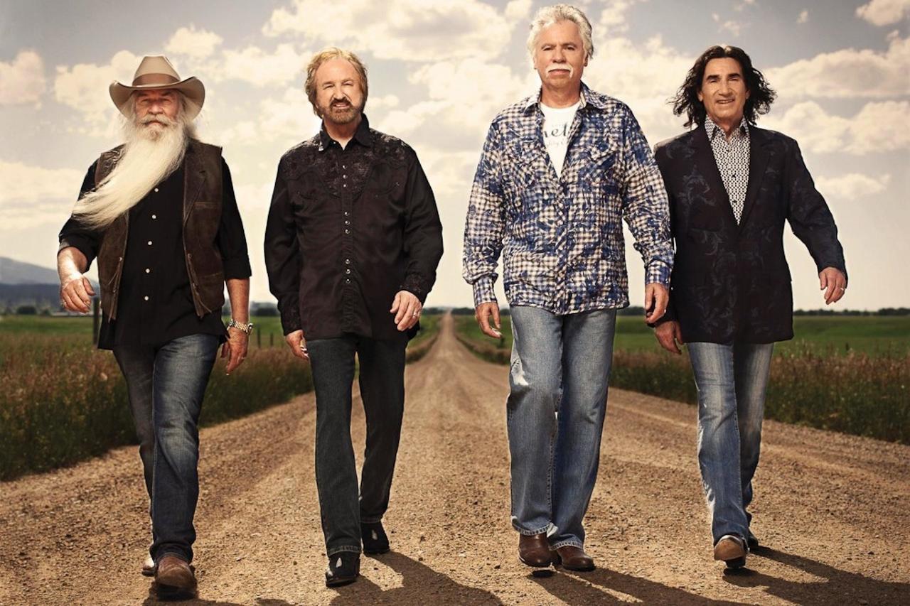 Majestic 200-107 - thumb 16