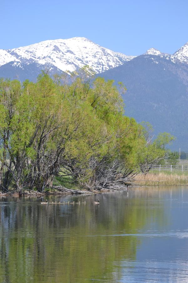 Ninepipes Lodge - thumb 21