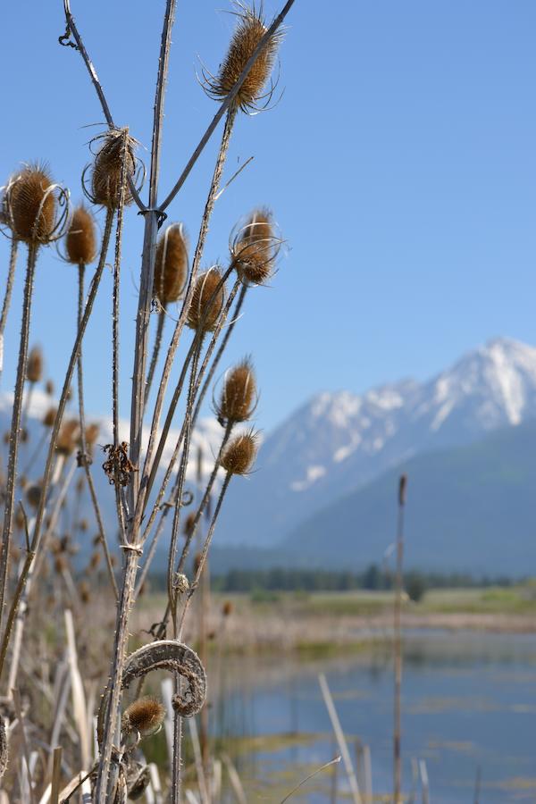 Ninepipes Lodge - thumb 23