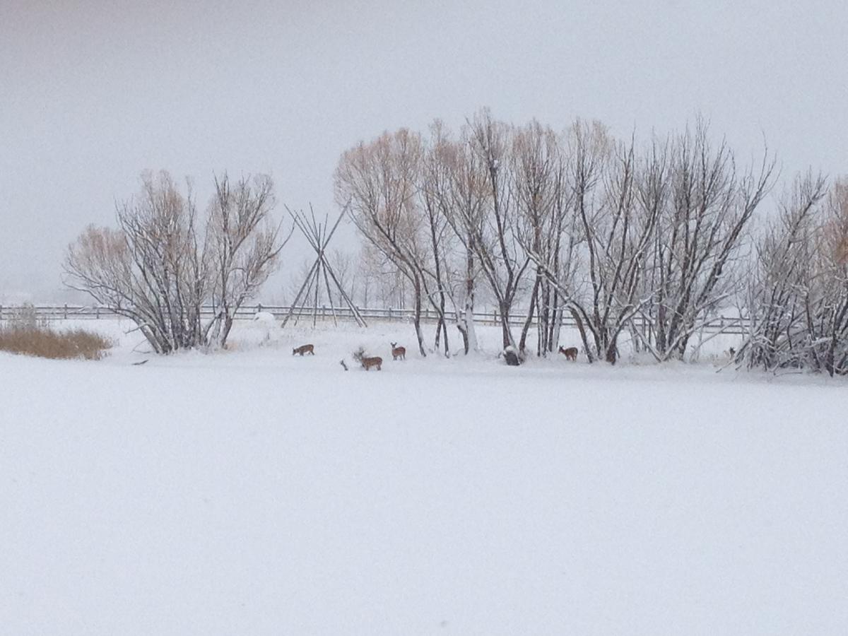 Ninepipes Lodge - thumb 40