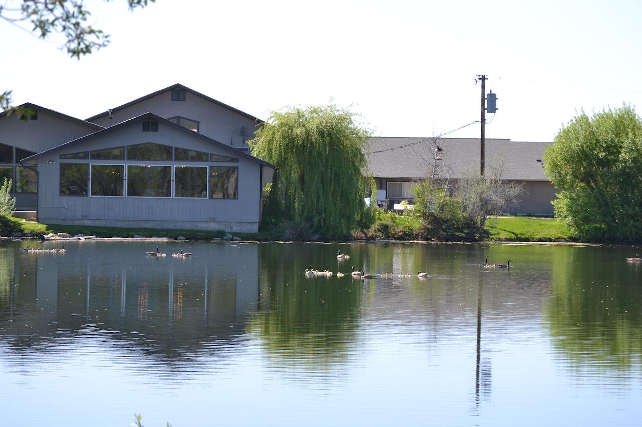 Ninepipes Lodge - thumb 41