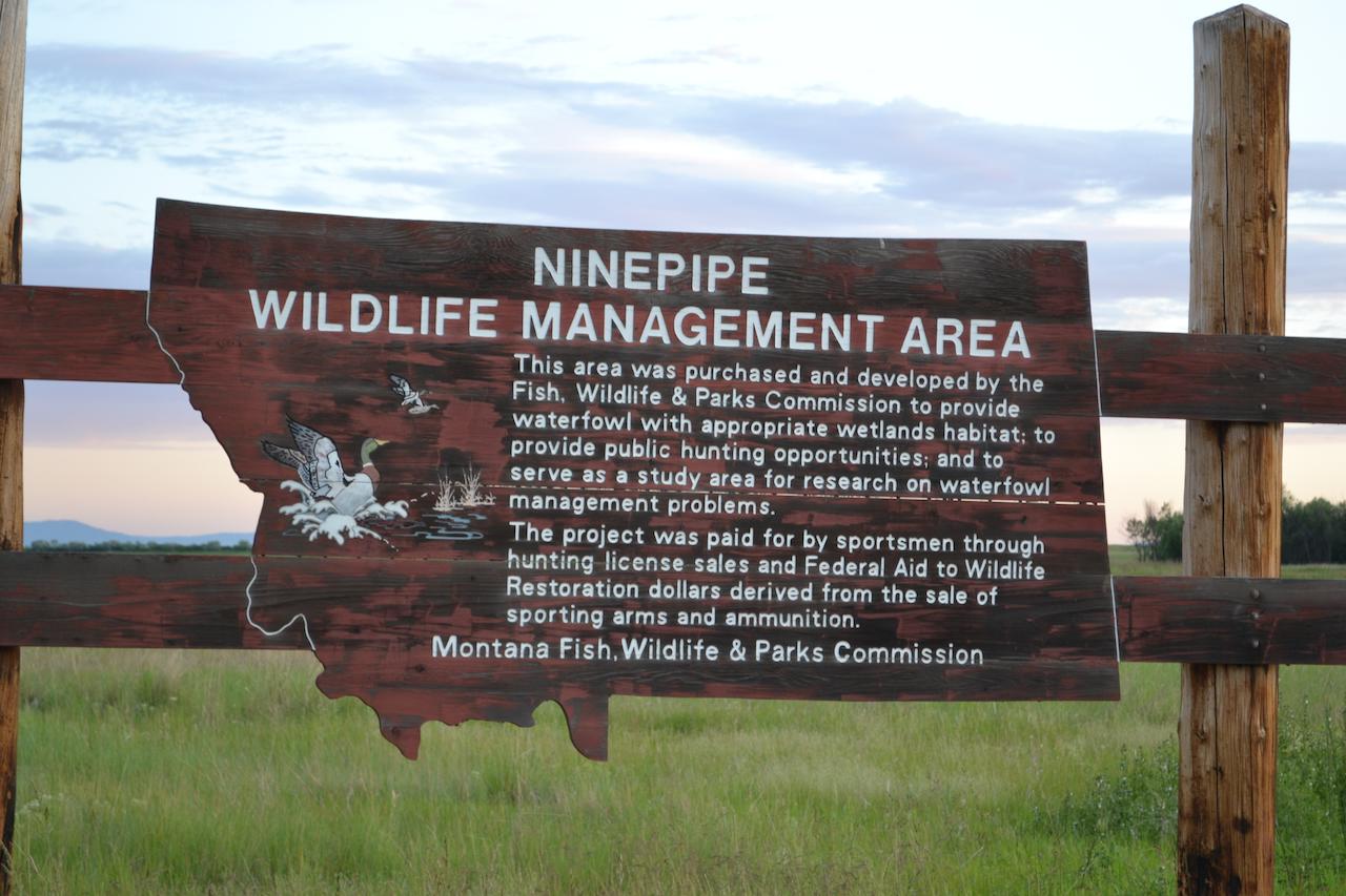 Ninepipes Lodge - thumb 28