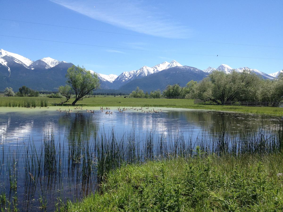 Ninepipes Lodge - thumb 39