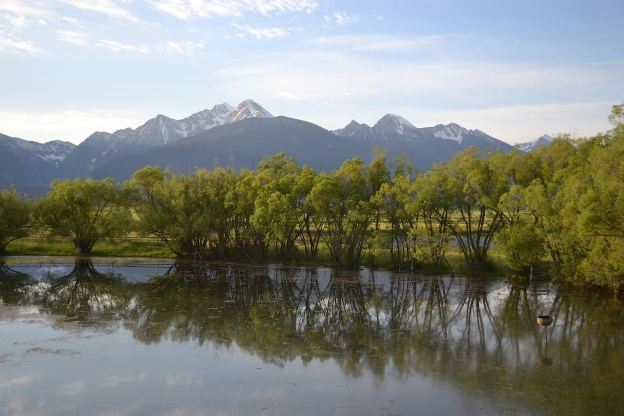 Ninepipes Lodge - thumb 18