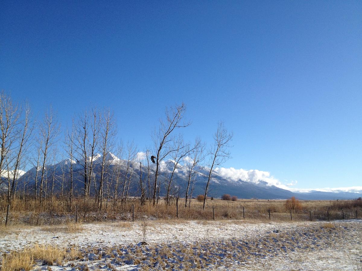 Ninepipes Lodge - thumb 26