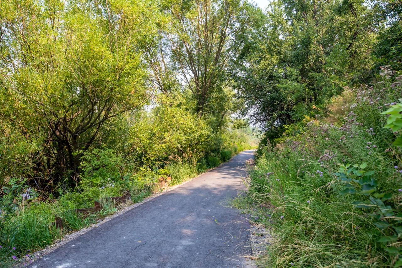 The Pine Lodge On Whitefish River, Ascend Hotel Collection - thumb 13