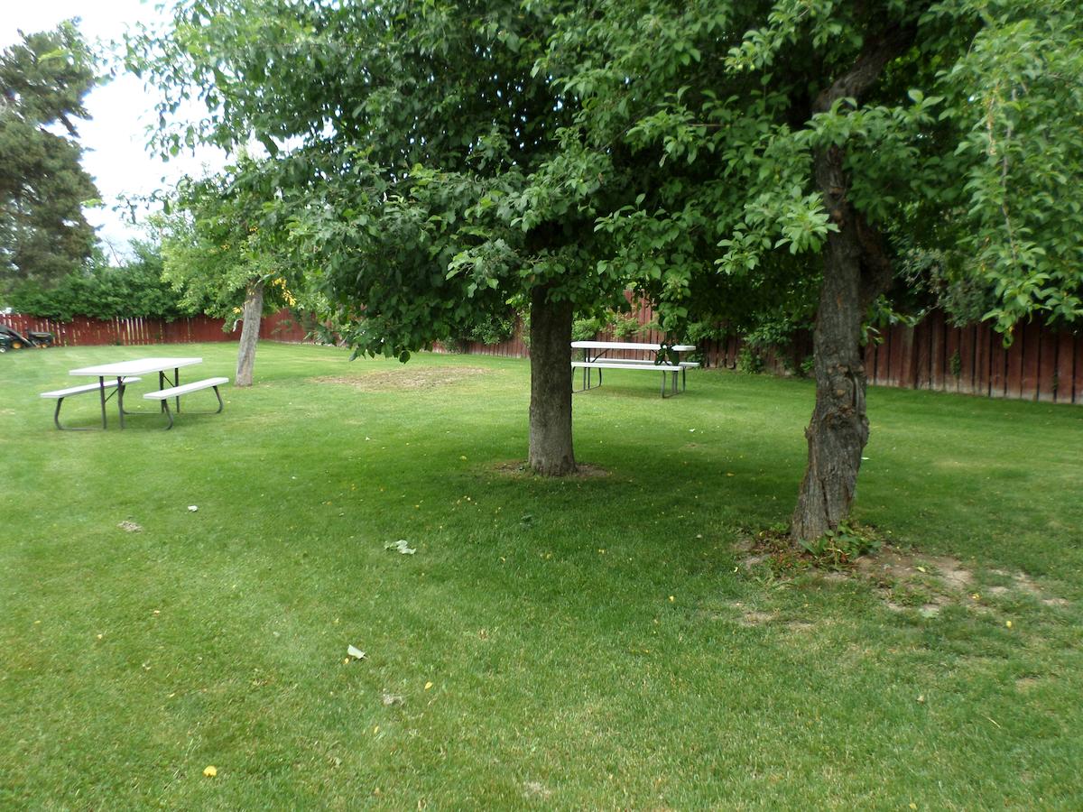 Sandman Motel - thumb 21