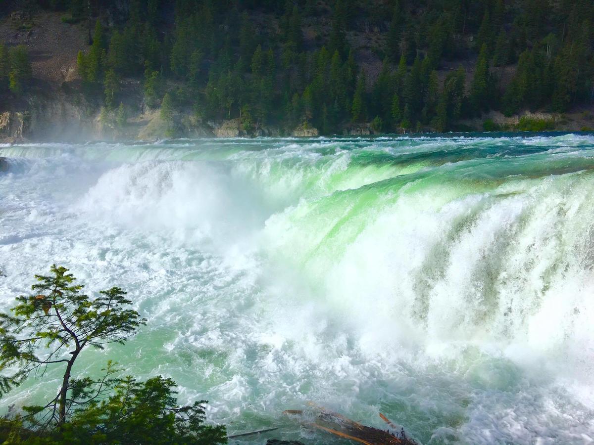 Evergreen Motel - thumb 42