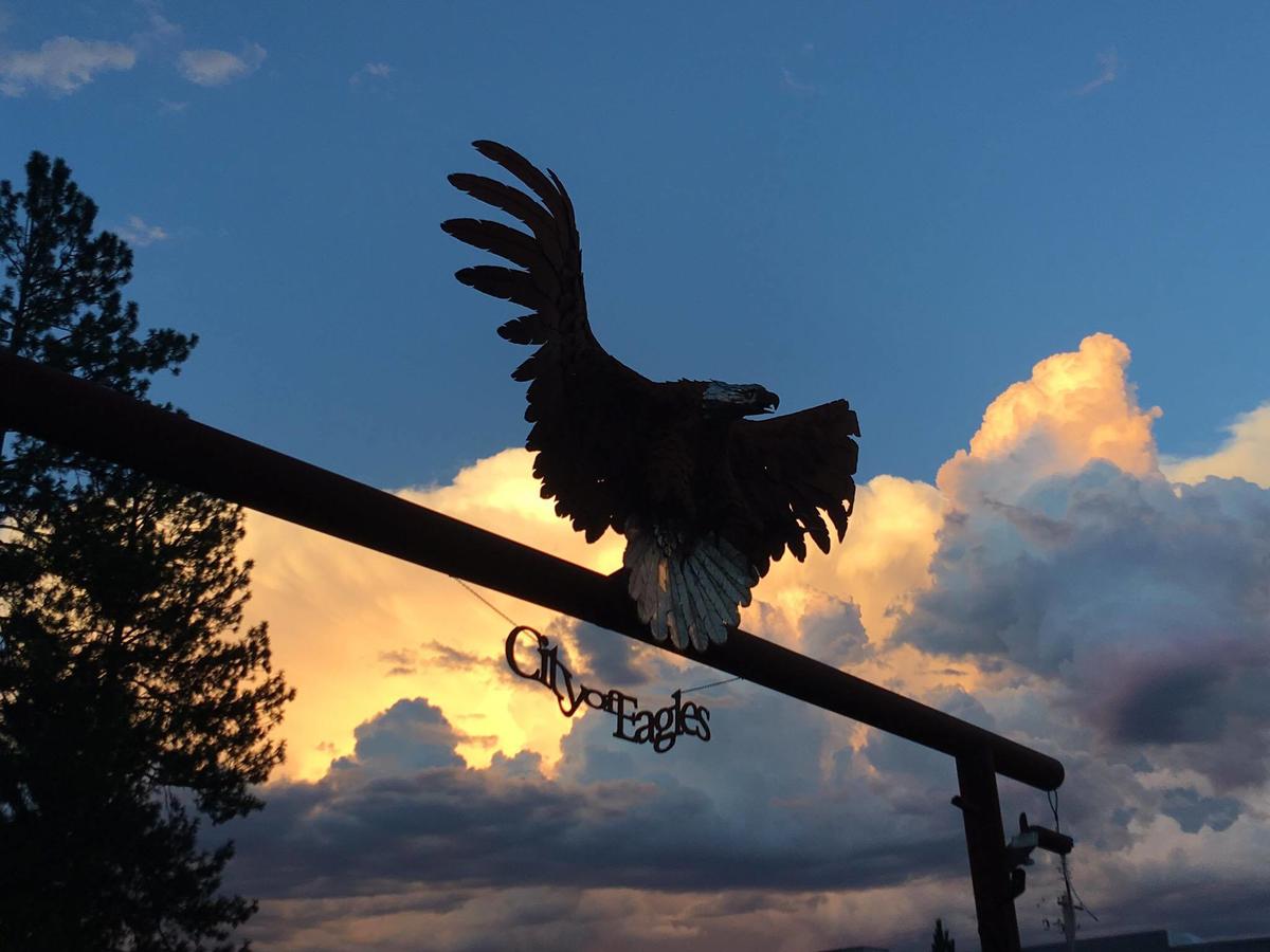 Evergreen Motel - thumb 43