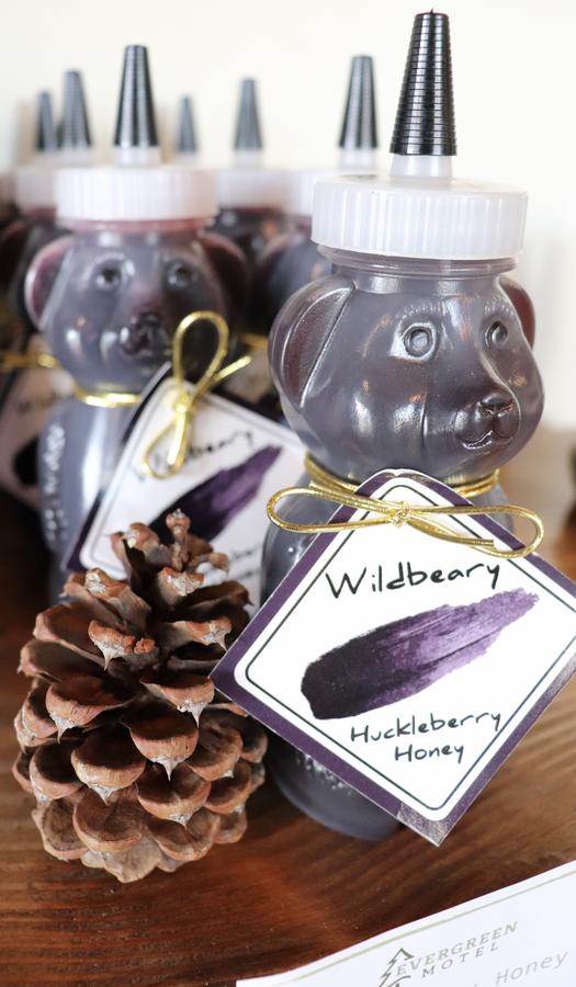 Evergreen Motel - thumb 19