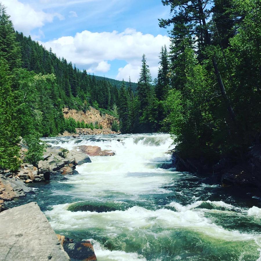 Evergreen Motel - thumb 44