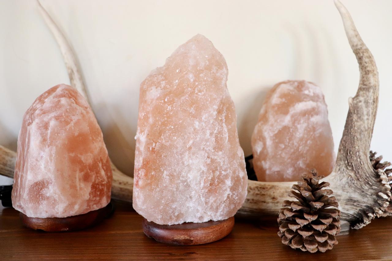 Evergreen Motel - thumb 18