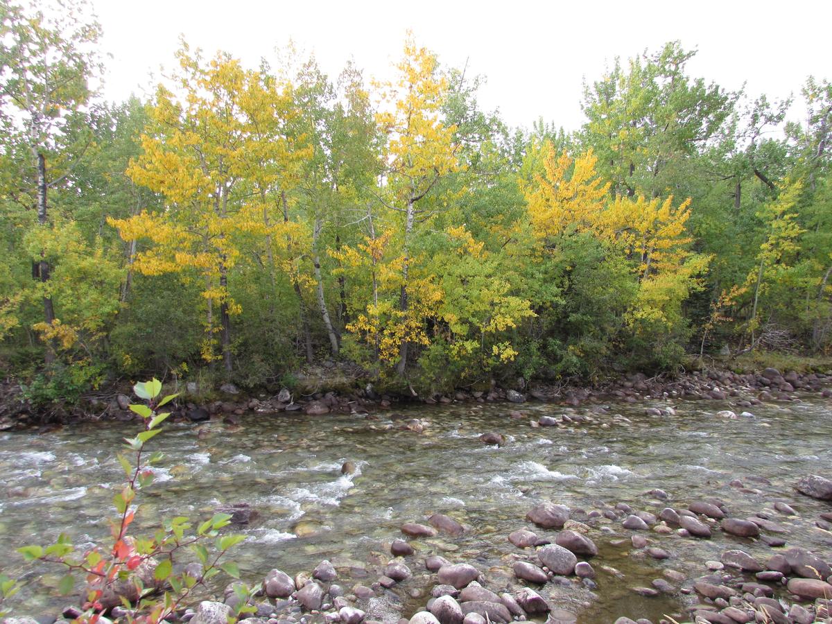 Beartooth Hideaway Inn & Cabins - thumb 10
