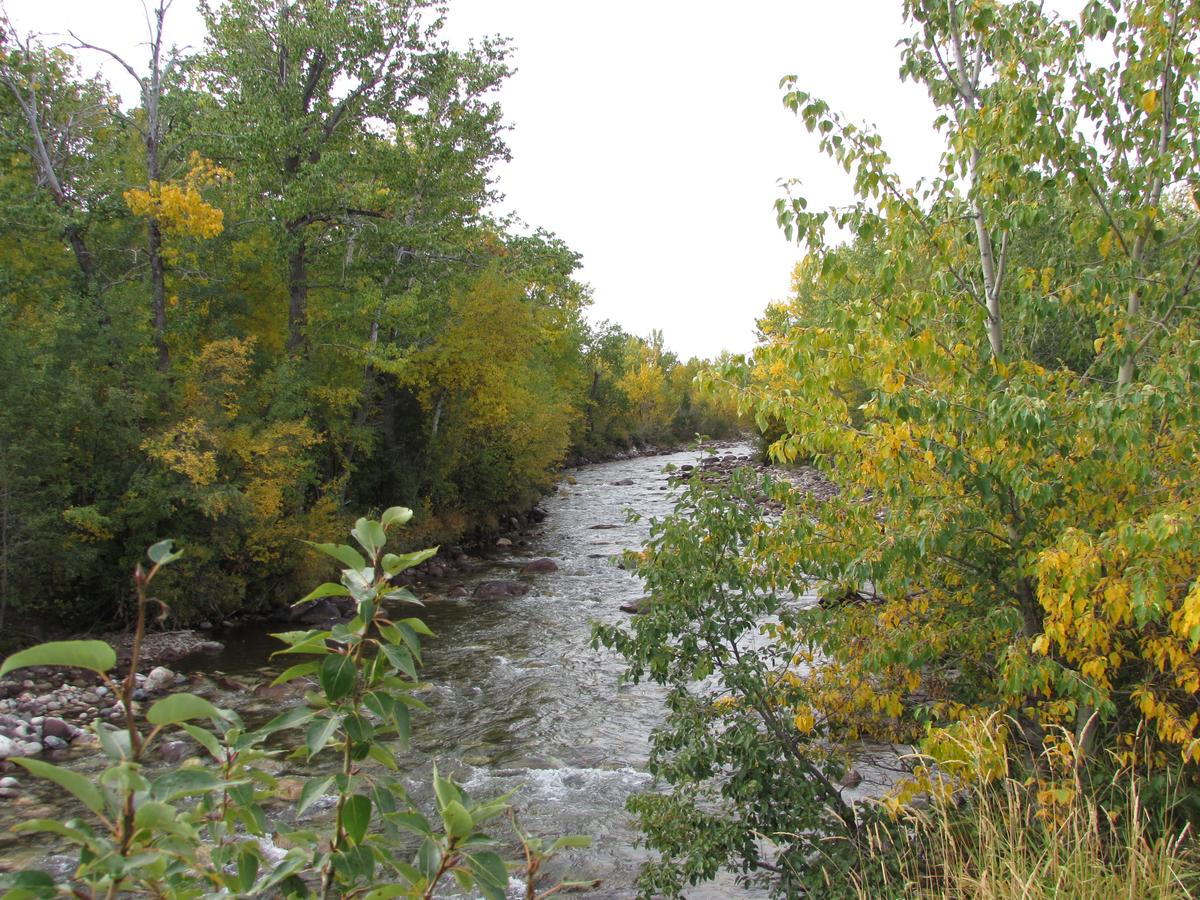 Beartooth Hideaway Inn & Cabins - thumb 7