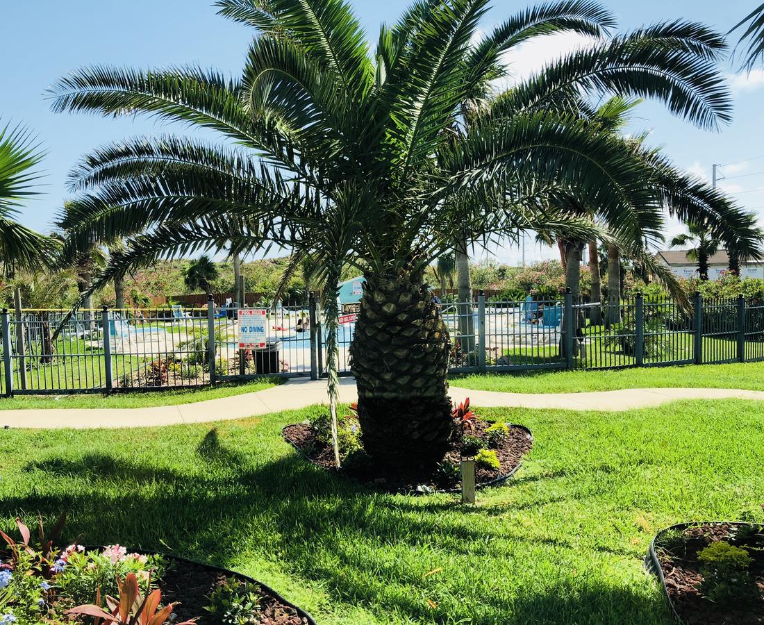 Days Inn By Wyndham Port Aransas TX - thumb 6