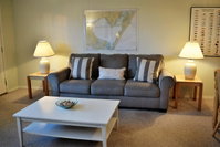 40 Island Retreat Condo Tourism Bookings