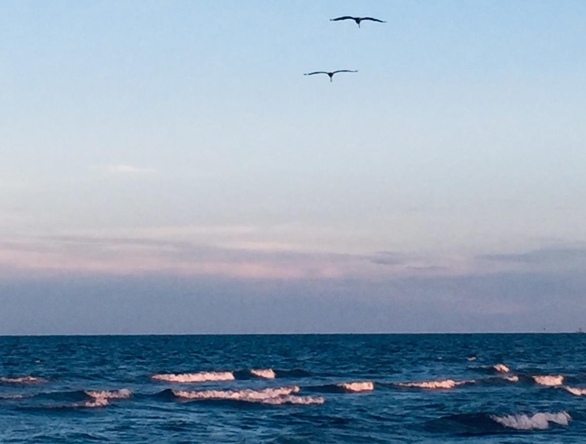 A Change In Lattitude 304BH Condo - thumb 14