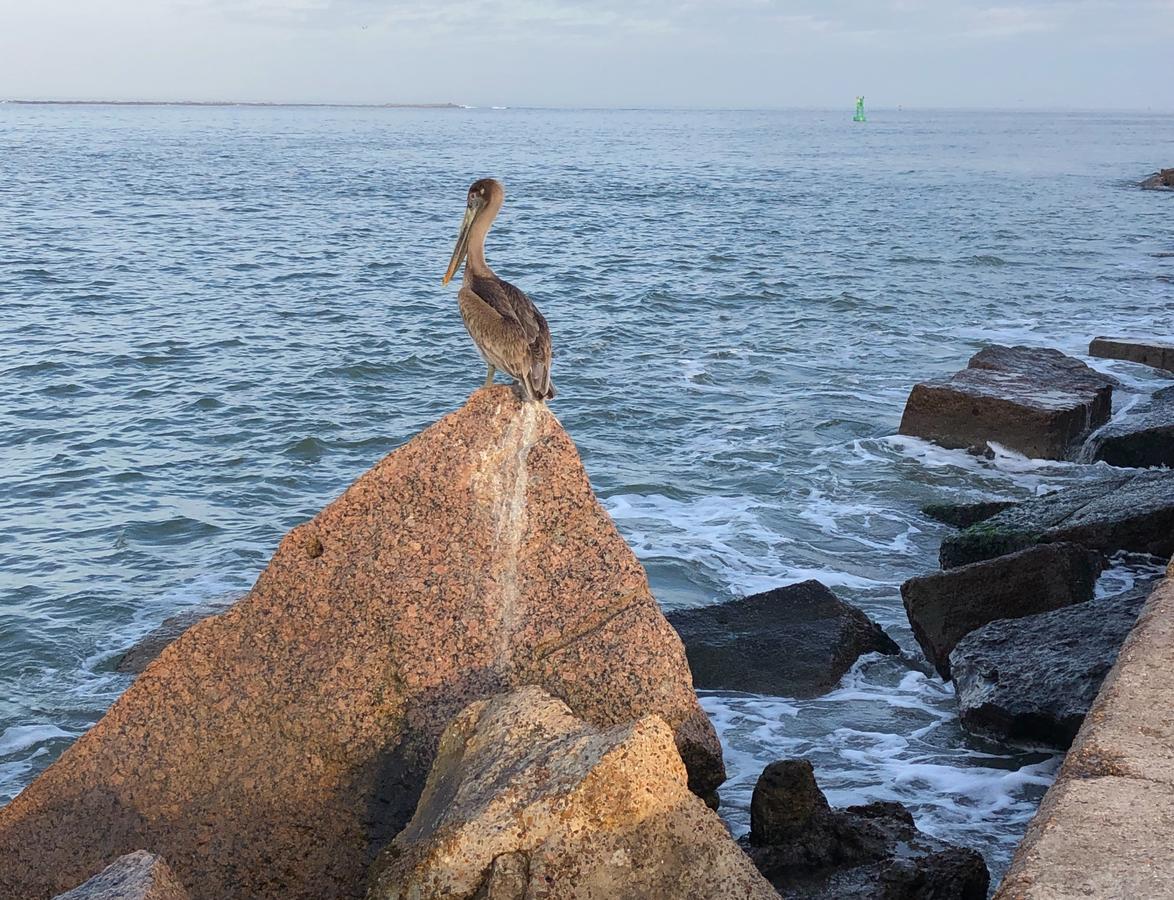 A Change In Lattitude 304BH Condo - thumb 36