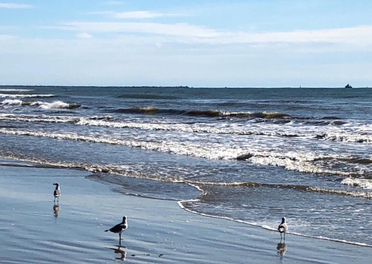 A Change In Lattitude 304BH Condo - thumb 22