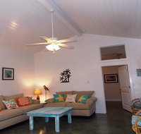 Parrotdise - Tourism Bookings