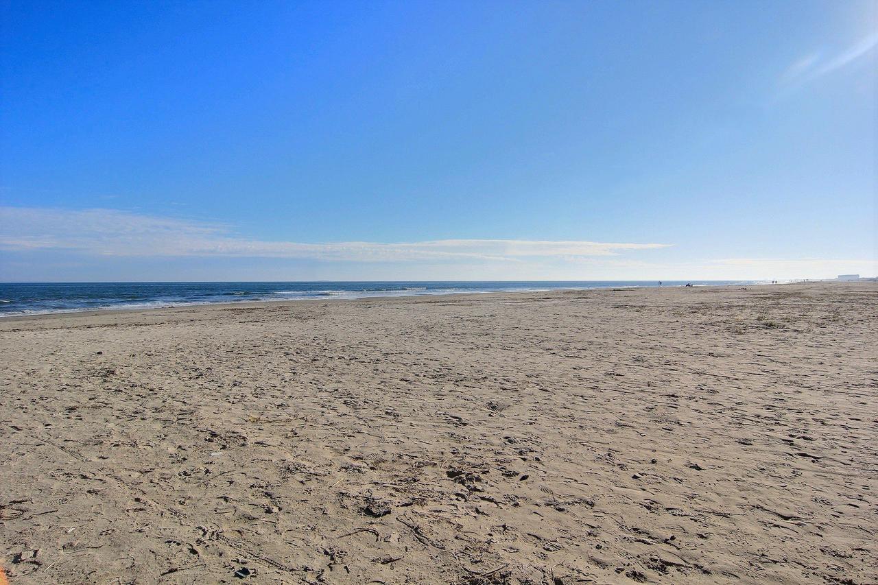 Isle Be Back Vw32 Home - thumb 5