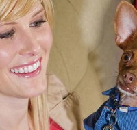 Home2 Suites By Hilton Omaha Un Medical Ctr Area - Tourism Bookings