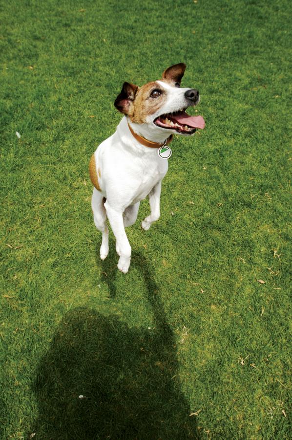 Element Omaha Midtown Crossing - thumb 22