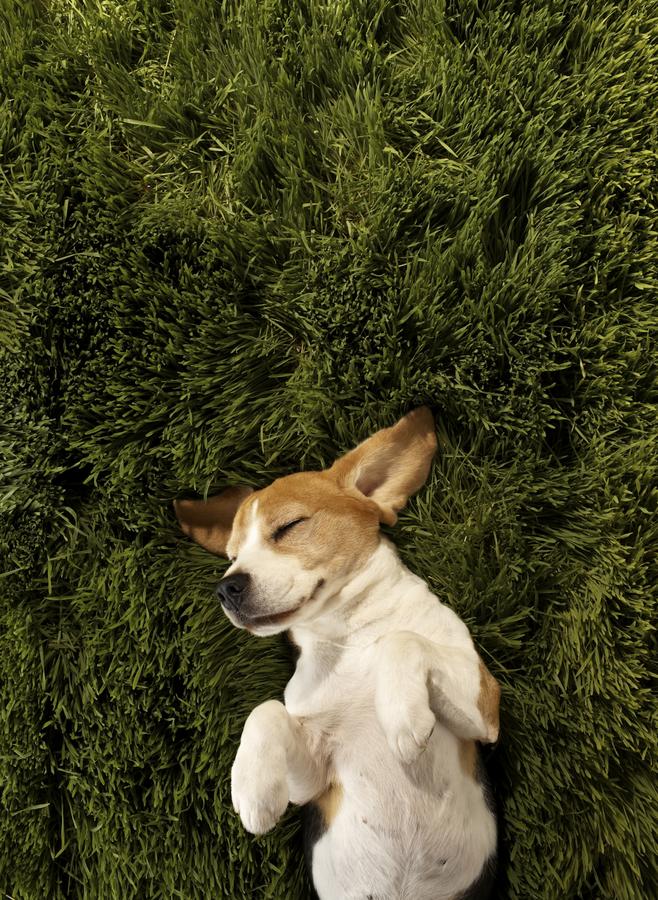 Element Omaha Midtown Crossing - thumb 21