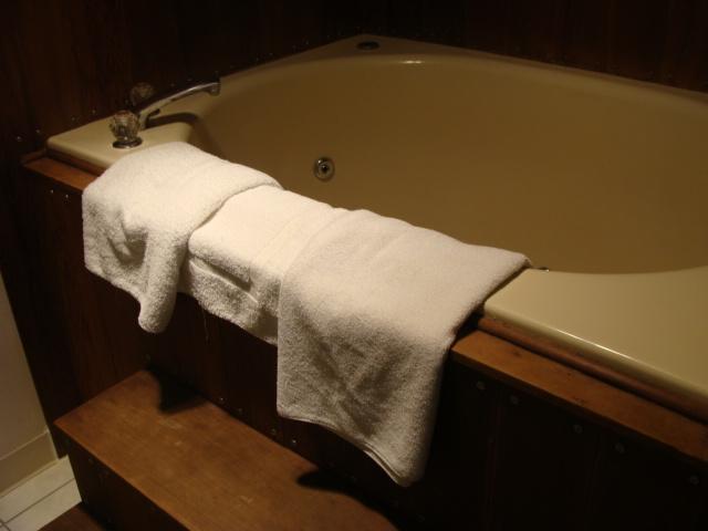 USA Inns Of America - thumb 12