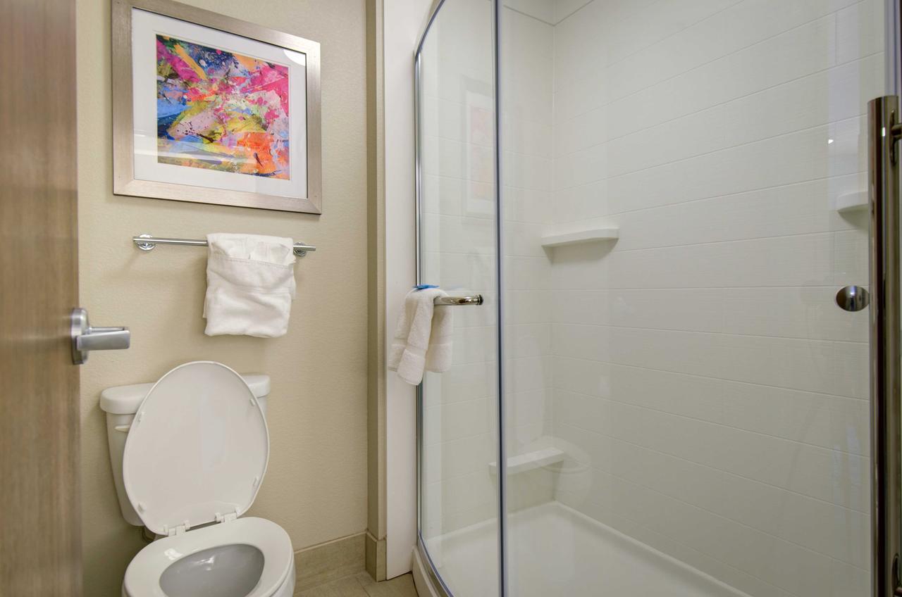 Holiday Inn Express Hotel & Suites North Platte - thumb 4