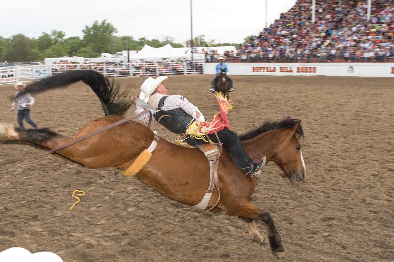 Holiday Inn Express Hotel & Suites North Platte - thumb 14