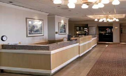 High Desert Inn - thumb 28