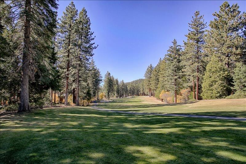 865 Peepsight 4 - thumb 11