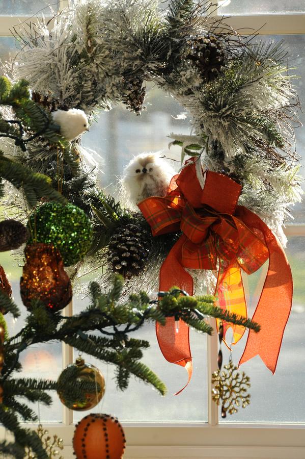 The Lyme Inn - thumb 43