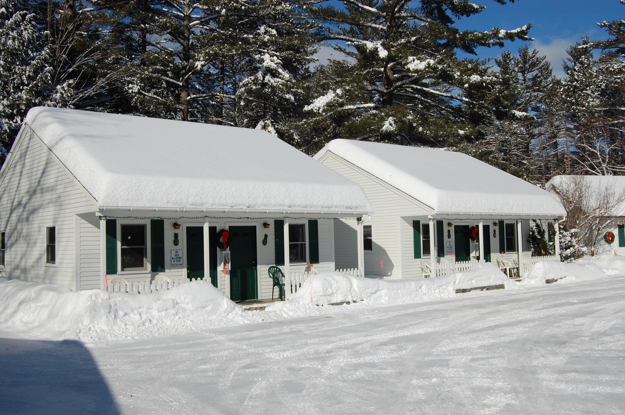 Wills Inn - Bartlett - thumb 3