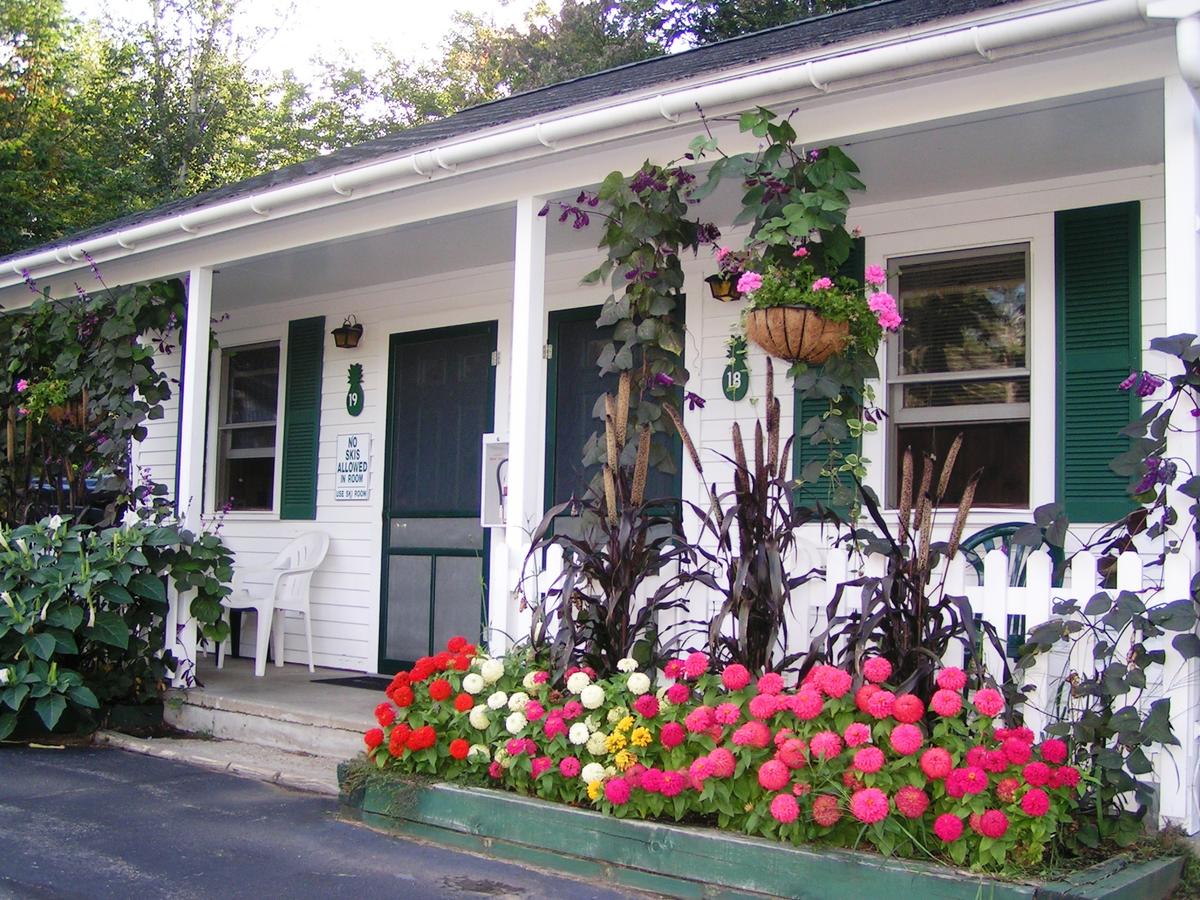 Wills Inn - Bartlett - thumb 4