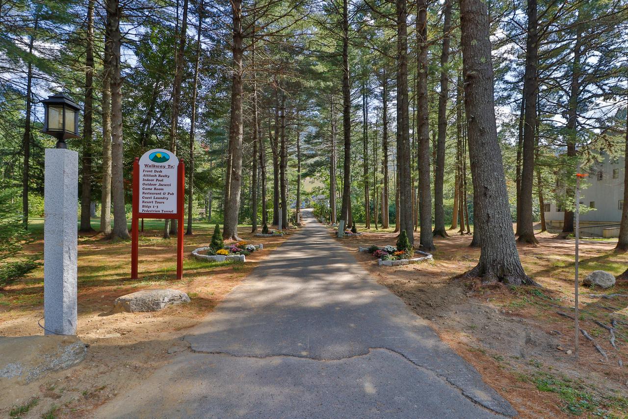 Family Friendly Attitash Studio - thumb 22