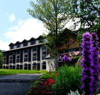 The Valley Inn - Tourism Bookings