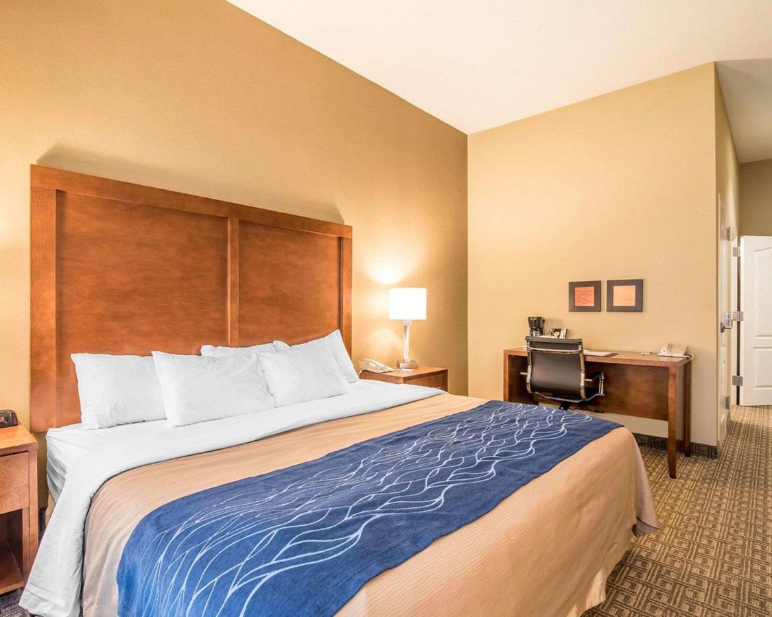 Comfort Inn & Suites Dover-Portsmouth - thumb 16