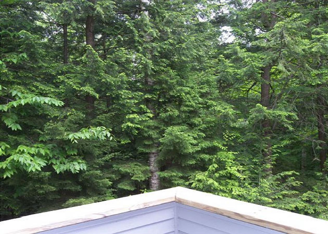 Village Of Loon 35MN - thumb 4